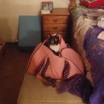 Christy Forkade Walls - @christywalls05 - Instagram