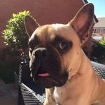 Christy Welsh - @cmwelshy - Instagram