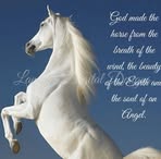 Crystal Boyd - Facebook