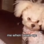 Chrystal Howell - @chrystalsjewells - Instagram