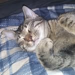 Crystal Howell - @gamom76 - Instagram