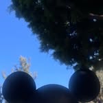 Crystal Rose Kline - @lifeisbeautiful4us5 - Instagram