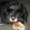 Crystal Meyer - @crystal.meyer3 - TikTok