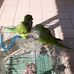 Chuan  Ku - Facebook