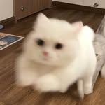 Chuang Lin - @l0423509632 - Instagram