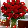 Chuang Lin - @user1793529454355 - TikTok