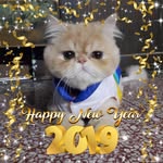 Lin Chuang - @chuang.lin - Instagram