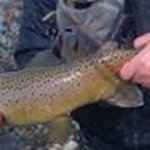 Chuck Abbott - @thedontfishenoughguy - Instagram