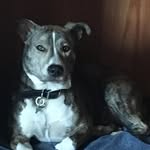 Chuck Abbott - @charlesabbott107 - Instagram