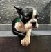 Chuck Adams - Facebook