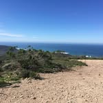 Chuck Adams - @bikes_nboards - Instagram