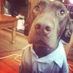 Arthur-Bear & Chuck-Bass - @arthurandchuck - Instagram