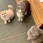 KIUCHIFAMILY - @ash_to_chuck_to_tap - Instagram