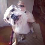 Chuck Autrey - @cautrey5 - Instagram