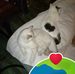 Chuck Barnes - Facebook