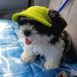 Chuck Barry Bliss - @chuckbarrybliss - Instagram
