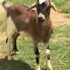 chuckbarry330 - @bubbs2002 - TikTok
