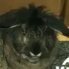 ChuckBarry666 - @chuckbarry666 - TikTok