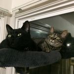 chuck buck-bauer - @chuckbuckbauer - Instagram