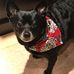 Chuck Baum - Facebook