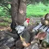 chuckbeckman425 - @chuckbeckman425 - TikTok