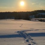 Chuck Bowen - @bcnu_1 - Instagram