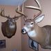 Chuck Braun - Facebook