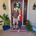 Chuck Briggs - Facebook