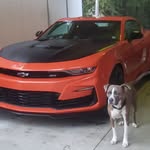 Chuck Briggs - @chuck.briggs.737 - Instagram