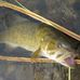 Chuck Brinkman - Facebook