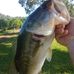 Charles Bullock - Facebook