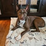Chuck Burgess - @chuck1536 - Instagram
