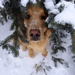 Chuck Burgess - @chuck.burgess.eceservices - Instagram