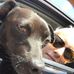 Chuck Burgess - Facebook
