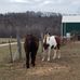 Chuck Burns - Facebook