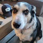 Chuck Burris - @denburrbq - Instagram