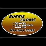 Chuck Burris - @chuckburris91 - Instagram