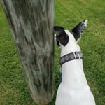 Chuck Byers - @suspicious_squirrel - Instagram