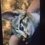calvin.cleo.chuck - @calvin.cleo.chuck - Instagram