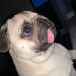 @chuck_le_carlin - Instagram