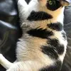 Charley - @chuckcarr756 - TikTok