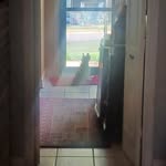 Chuck Carr - @chuck.carr.967 - Instagram