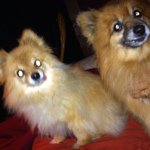Chuck and Rita Johnson and Chavez - @chuckandrita - Instagram