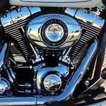 Chuck Chavez Melnick - @melnickchuck - Instagram