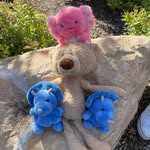 Chuck Christensen - @chuck_almighty - Instagram