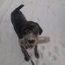 Chuck Connell - Facebook
