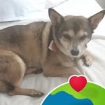 Chuck Coonce - @chuckcoonce - Instagram