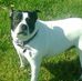 Chuck Cox - Facebook