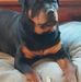 Chuck Cramer - Facebook