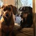 Chuck Crane - Facebook